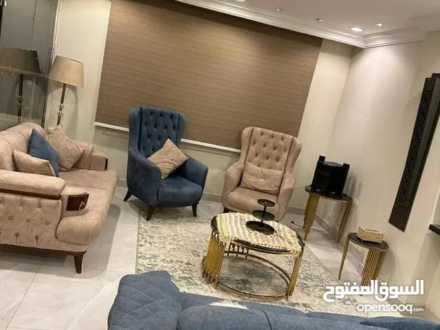 Furnished Daily in Cairo Maadi