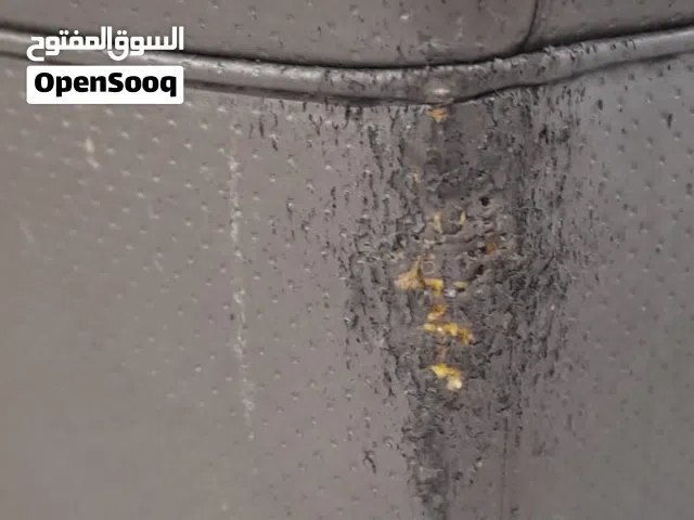 قنفه وا سرير