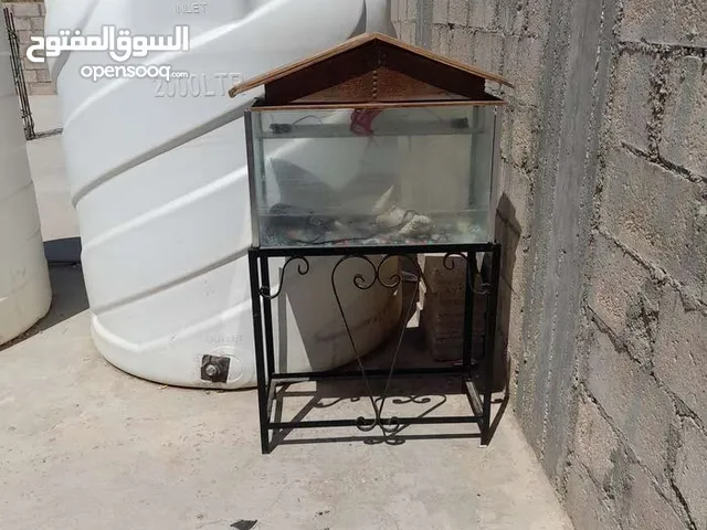 حوض سمك للبيع مع ستاند وسمك