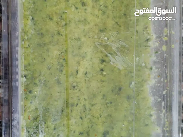 متوفره عندي طعميه