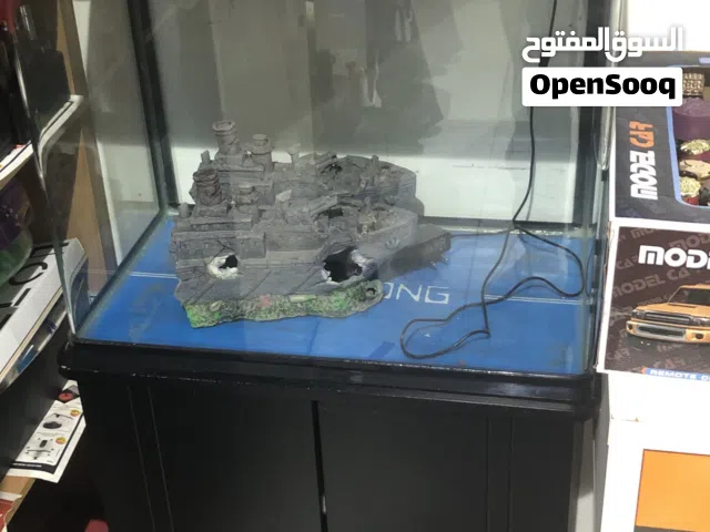 Fishtank with accessories and food