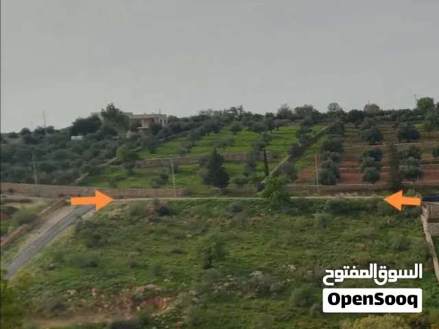 Farm Land for Sale in Salt Al Subeihi