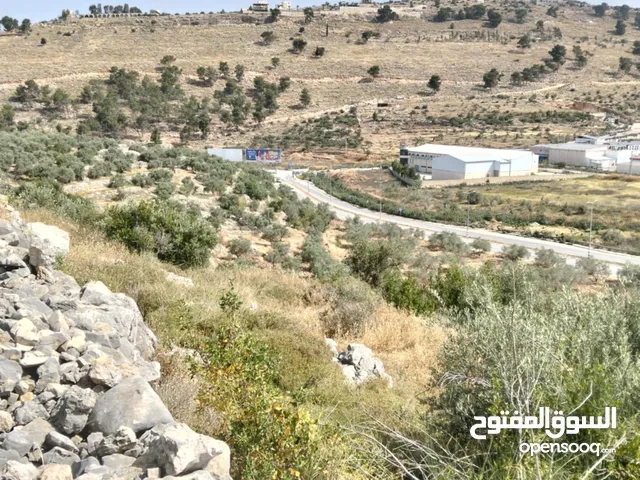 أرض ع الشارع الرئيسي لكل الاستخدامات