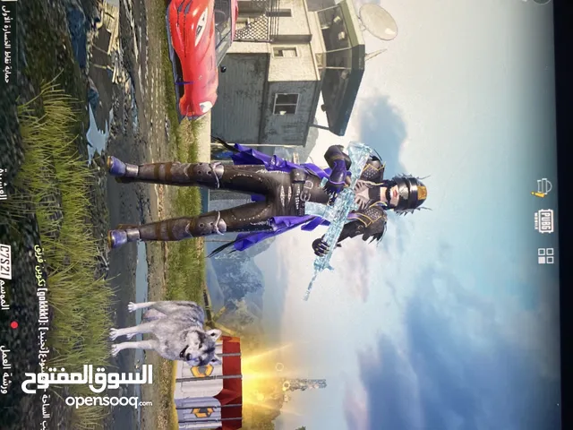 Pubg Accounts and Characters for Sale in Amman