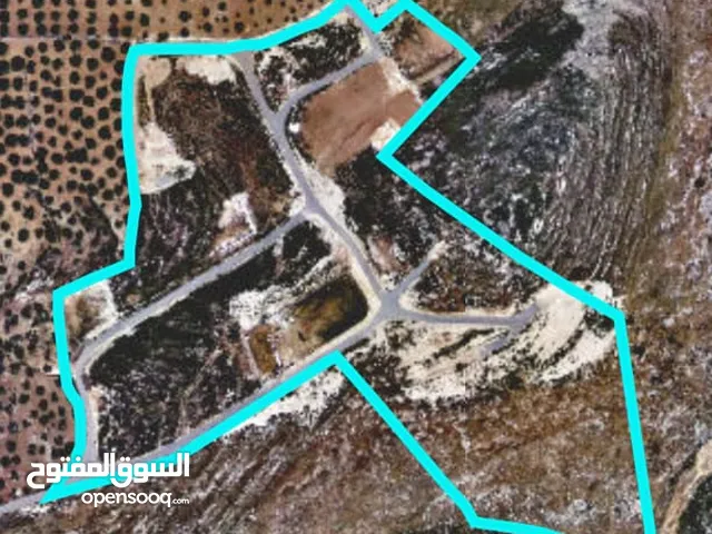 نمرتين ارض للبيع. موقع مميز كوشان طابو بسعر مغري