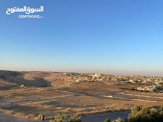 Residential Land for Sale in Amman Husban