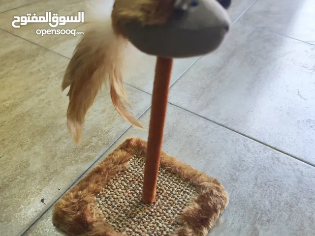 لعبة قطط مع خداشة تصدر صوت عند اللمس اهبل قطتك ، تابع الريلز في شرح موضح الها