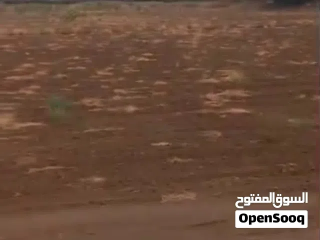 Farm Land for Sale in Al Hudaydah Other