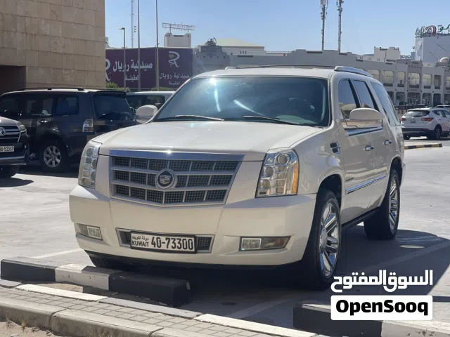 اسكاليد بلاتينيوم نظيف شرط الفحص
