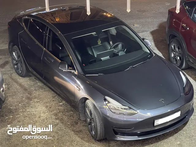 Model 3 standard plus 2019