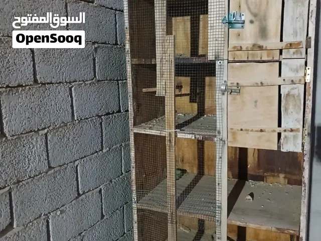 بورتي للبيع