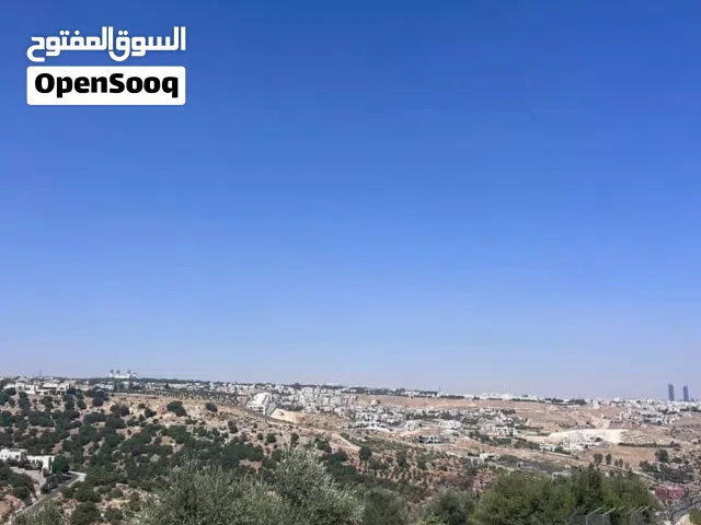 غرب عمان بدر الجديدة حوض الشراب بسعر مغري جدا