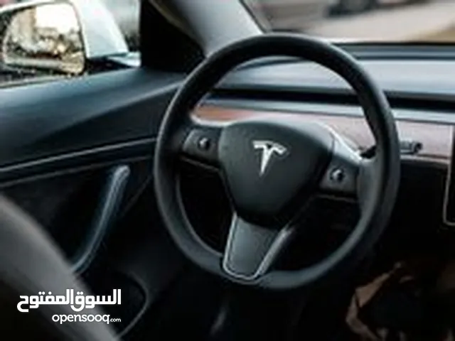 ليث حجاوي