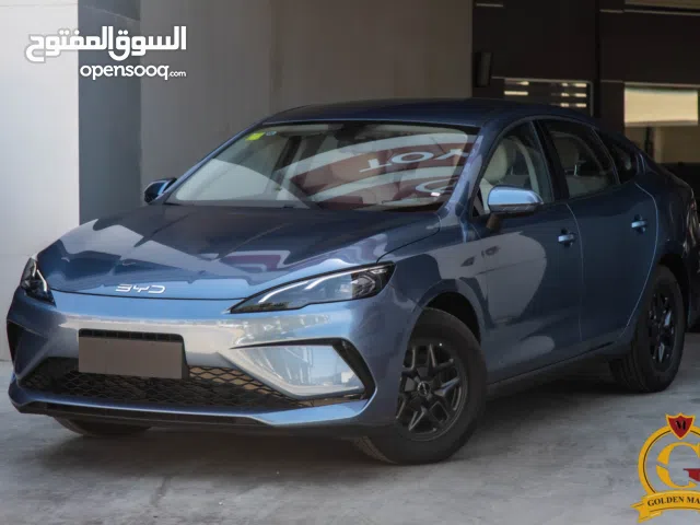 2025, بي واي دي, سيل