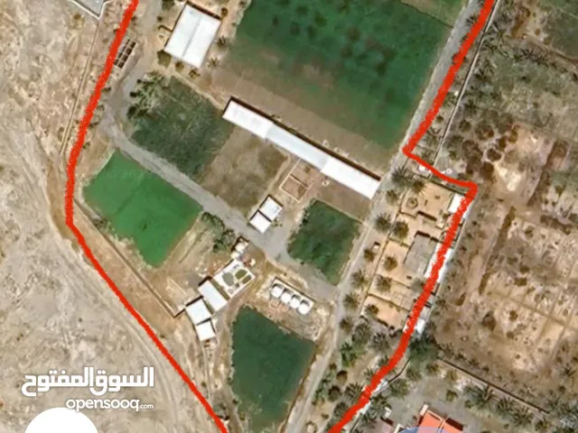 مزرعة للبيع