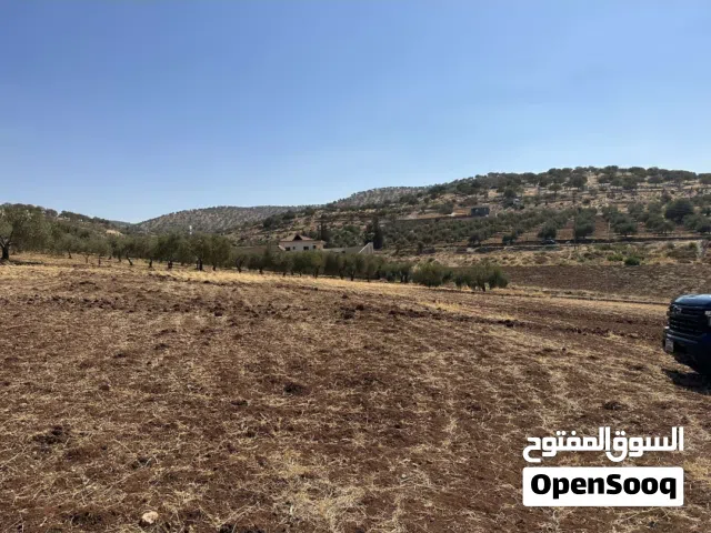 ارض مميزة من المالك مباشرة في منطقة صروت تبعد عن دوار التطبيقية ربع ساعه منطقة فلل وشاليهات