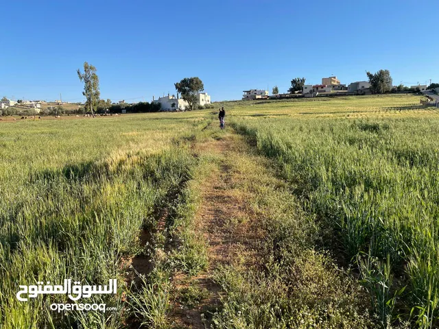 ارض للبيع الزنيه الزيتونه