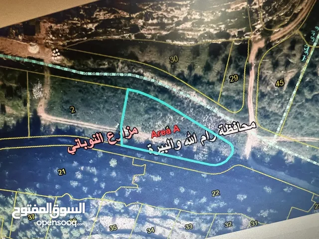 أرض للبيع مزارع النوباني