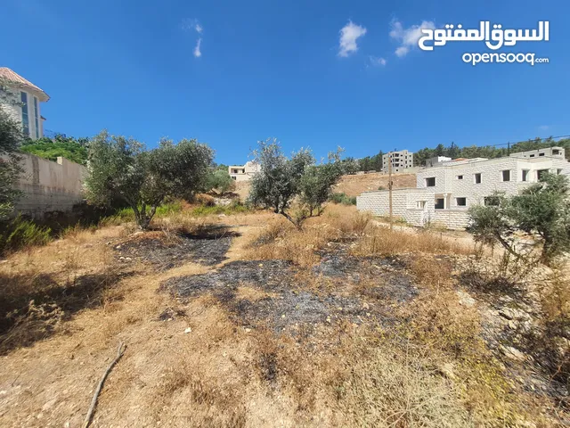 Residential Land for Sale in Jenin Other