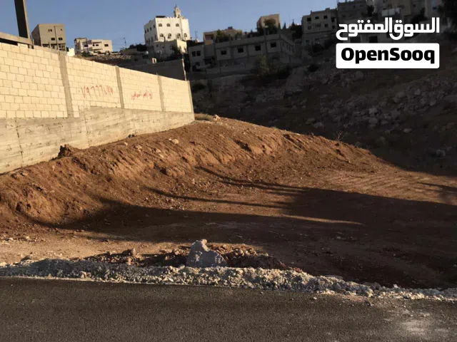 ارض للبيع جريبا حوض جودة ذياب وحوض السلايطة