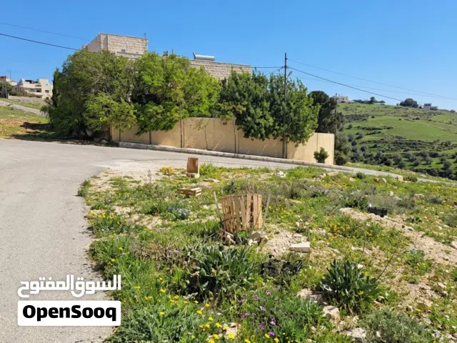 Residential Land for Sale in Amman Shafa Badran