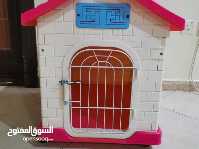 مستلزمات قطط متنوعه للبيع او البدل