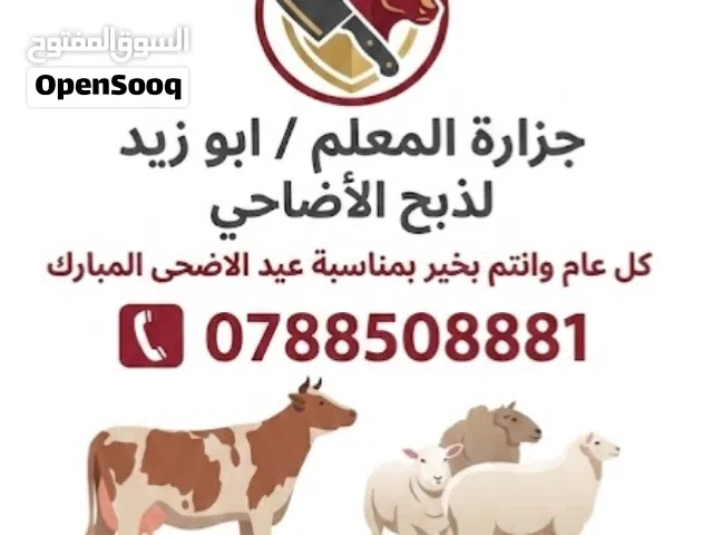 لحام متنقل لذبح الاضاحي