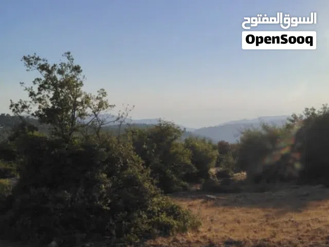 Residential Land for Sale in Jerash Other