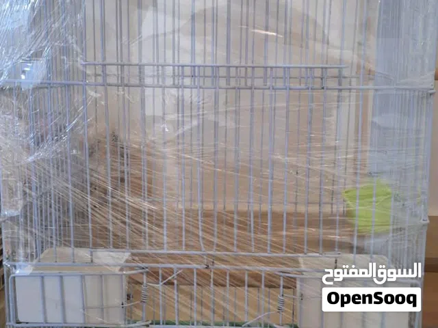 قفص للببغاءومعستنتر