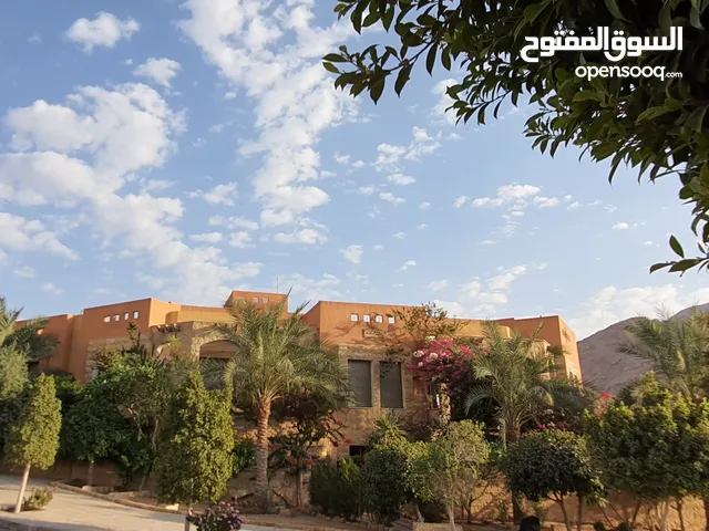 600m2 4 Bedrooms Villa for Sale in Aqaba Al Sakaneyeh 9