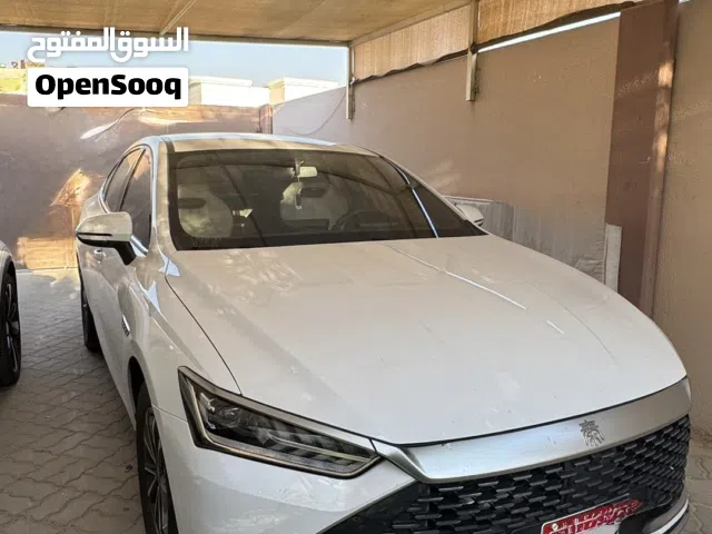 2024 بي واي دي كين