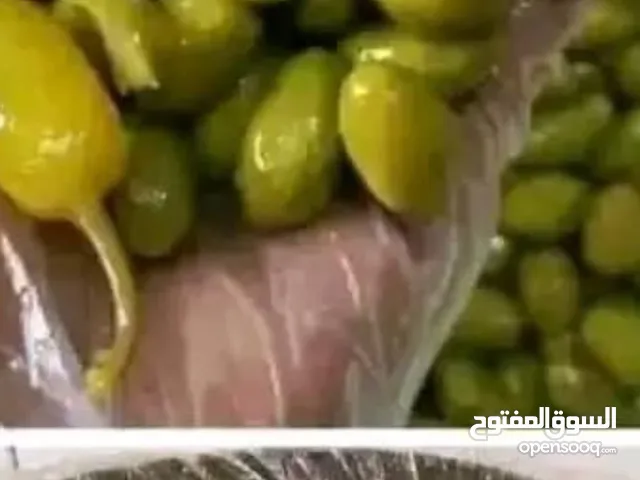 زيتون اخضر فلسطيني