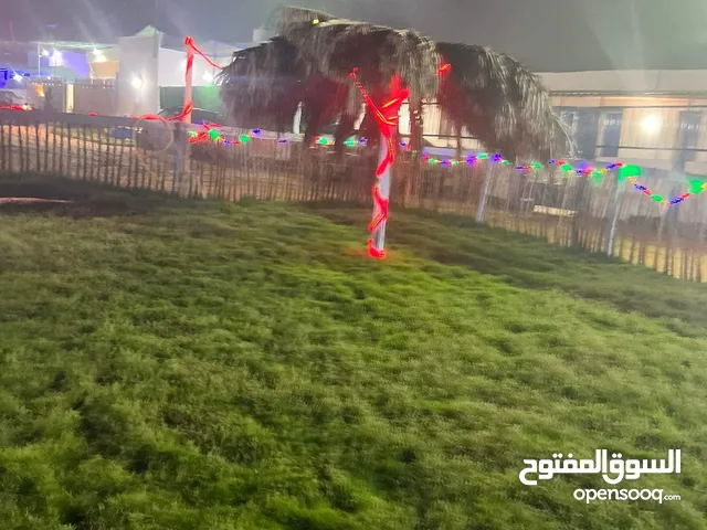 شاليه علي بحر مباشر مكان عائلي