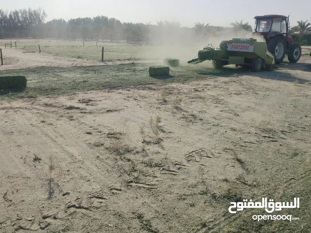 برسيم للبيع ممتاز