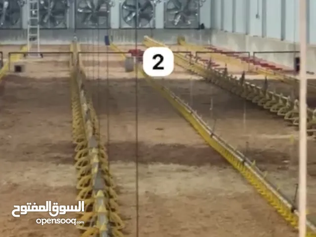 Commercial Land for Sale in Al Ain Other