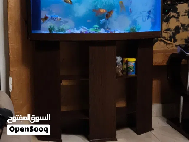 حوض سمك 100 لتر ماء مع كامل محتواه