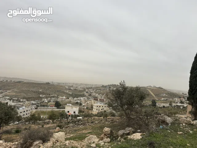 Residential Land for Sale in Zarqa Um Rummanah