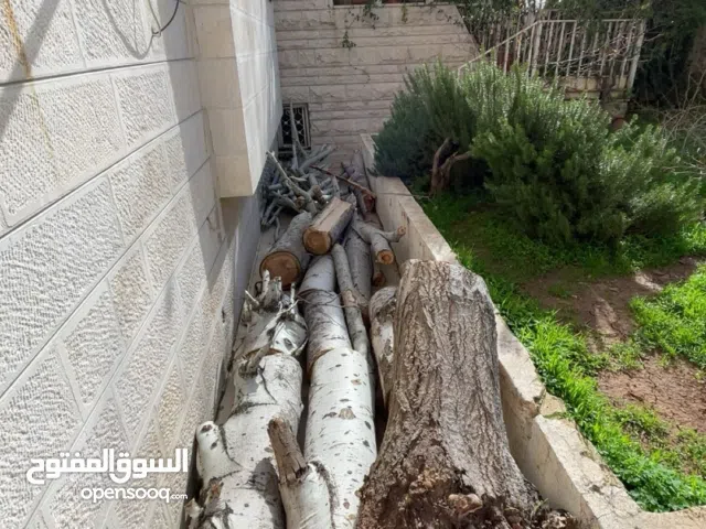 شجره مقصوصة للبيع