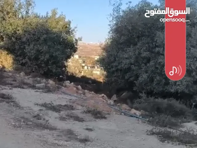 Residential Land for Sale in Ramallah and Al-Bireh Rawabi