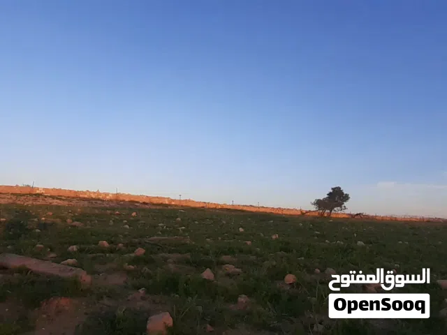 20هكتار للبيع في بودريسه طريق اللويفيه