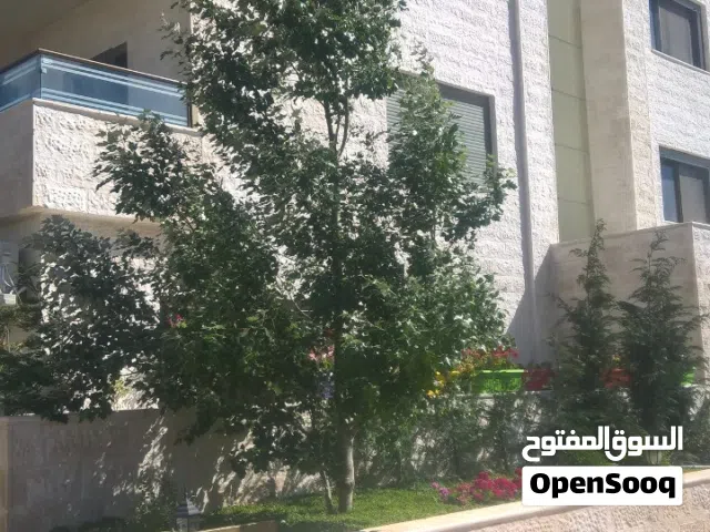 شقة سوبر ديلوكس للايجار جانب جامعة البترا طابق 3 مطلة عل طريق المطار