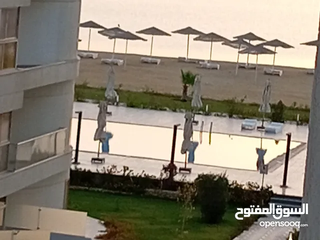 45 m2 1 Bedroom Apartments for Rent in Red Sea Other