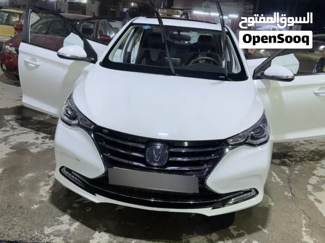 شانجان السفن 2025 اخت الزيرو