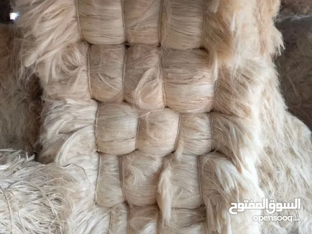 زوايا الديكور