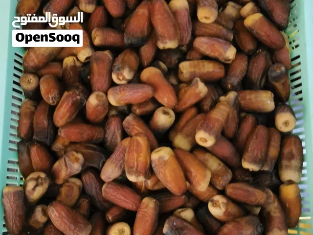 تمر نغال إنتاج 2026