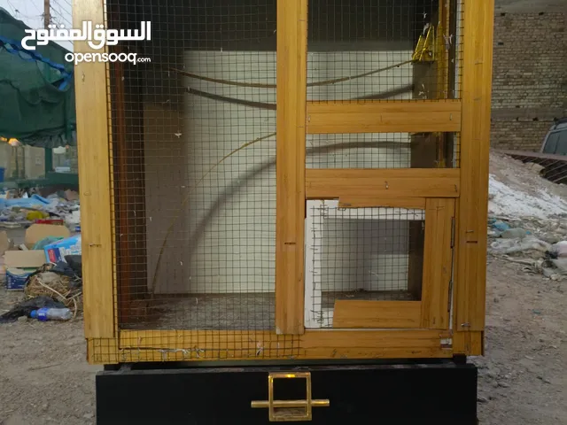 برج طيور زينه نضيف جداً تجي تشوفه بعينك