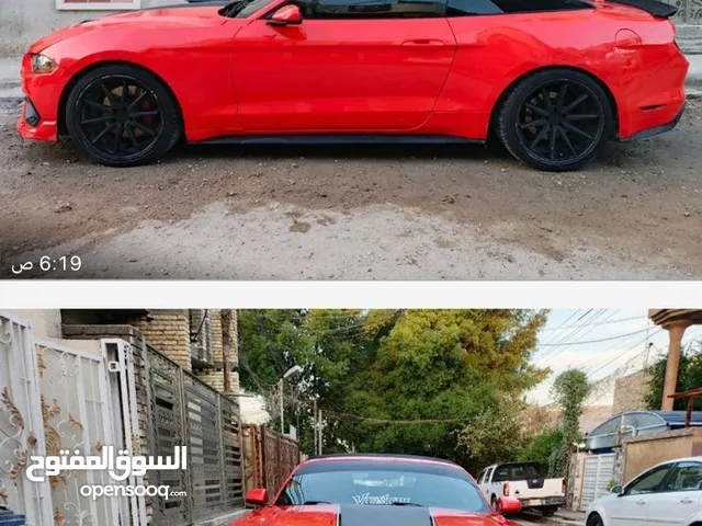 موستنك 2016