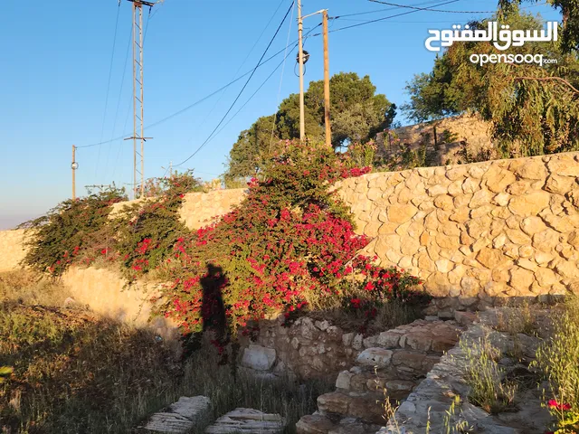 Residential Land for Sale in Amman Abu Al-Nair