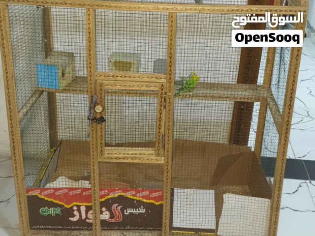 قفص لبيع مع طيور خمسه فناجس وثنين طيور حب