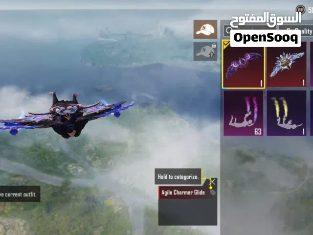 Pubg Accounts and Characters for Sale in Irbid